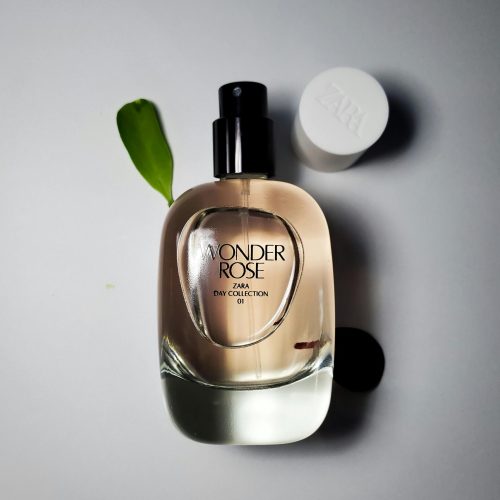 pexels stan stanis 140438434 16664862